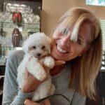 teacup maltese puppies for sale