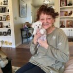 teacup maltese puppies for sale