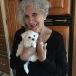 teacup maltese puppies for sale