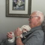 teacup maltese puppies for sale