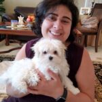 teacup maltese puppies for sale