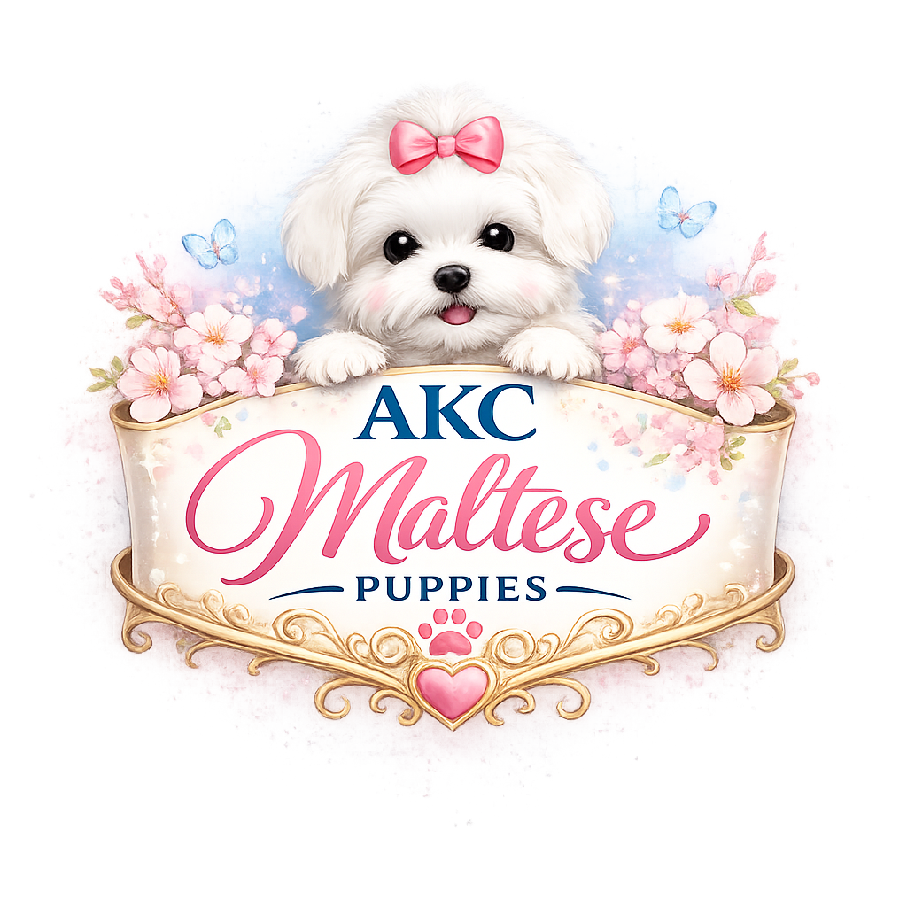 akcmaltesepuppies.com